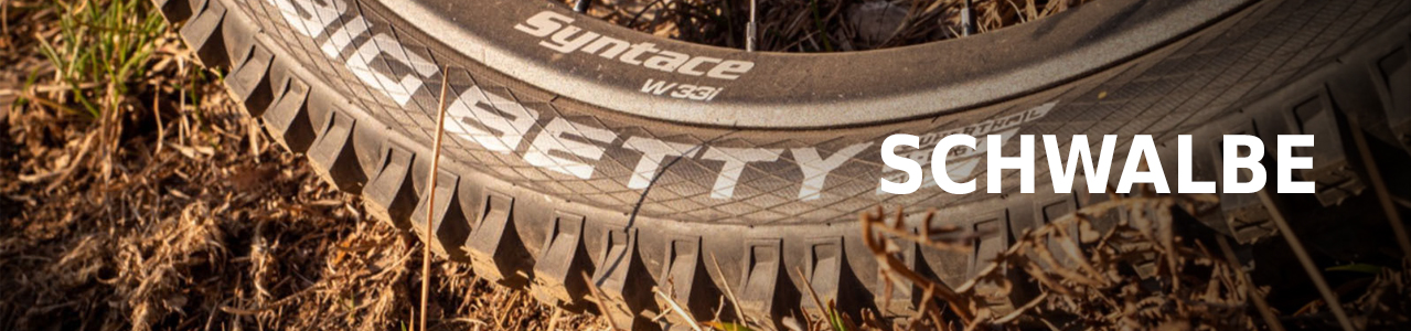 Schwalbe Schwalbe