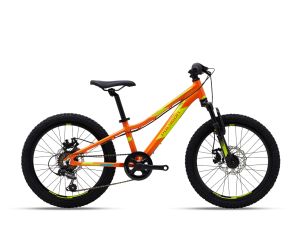 Polygon Sepeda MTB Junior Relic 20 2021