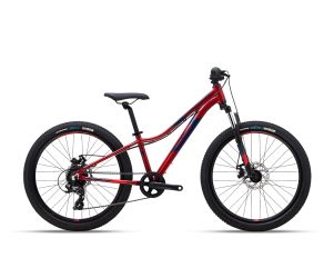 Polygon Sepeda MTB Junior Relic 24 2021