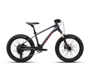 Polygon Sepeda MTB Junior Xtrada 20