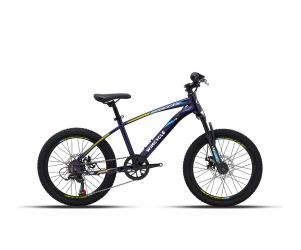 Wimcycle Sepeda MTB Junior Vulcan 20