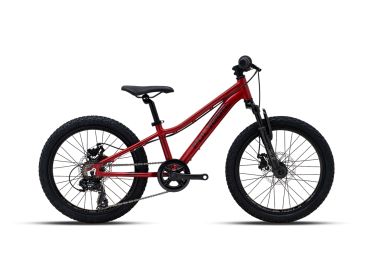 Polygon Relic 20 Mountain Bike Junior