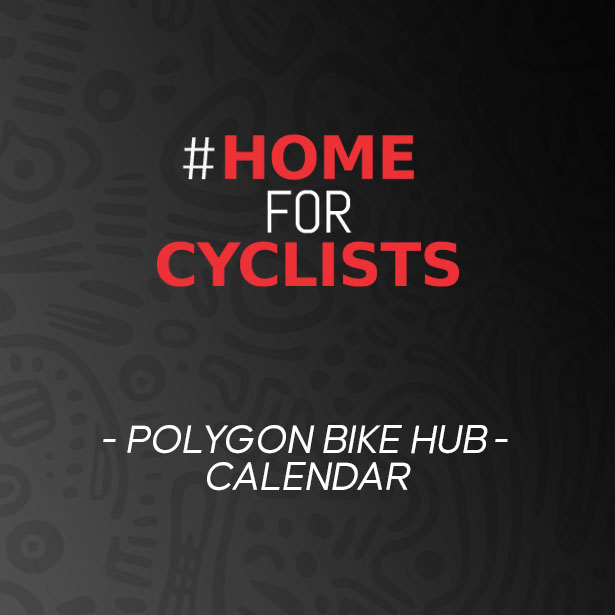 Polygon Bike Hub-Calendar Polygon Bike Hub-Calendar