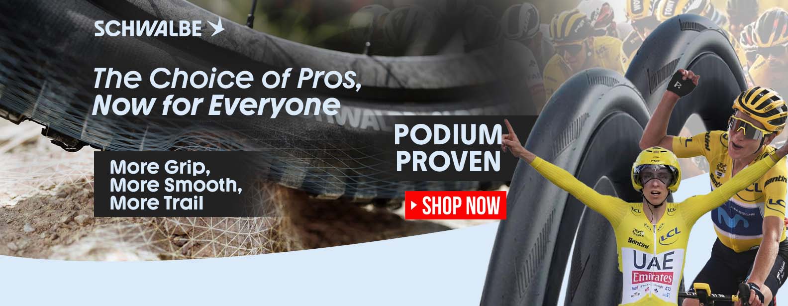 Schwalbe Tire
